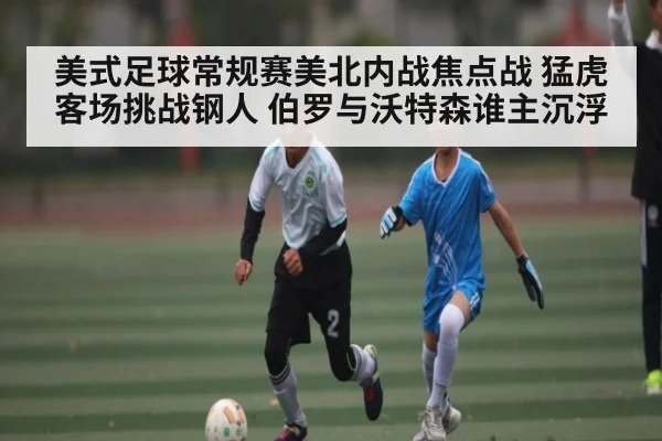 美式足球常规赛美北内战焦点战 猛虎客场挑战钢人 伯罗与沃特森谁主沉浮
